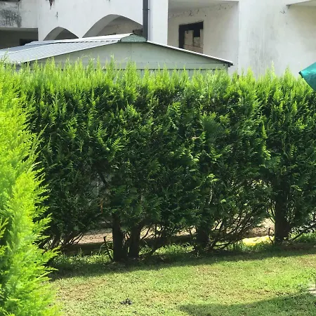 Nostro Casa *